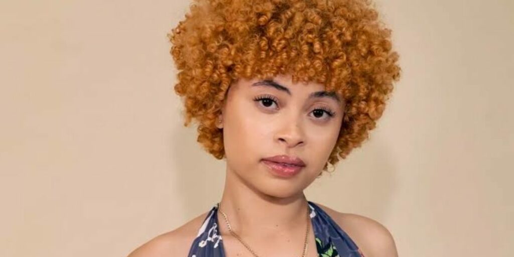 Cover art of Ice Spice - In Ha Mood Lyrics