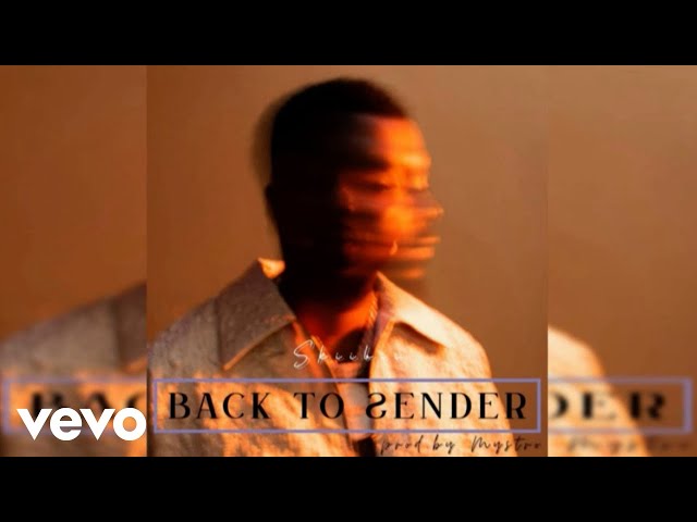 Cover art of Skiibii – Back to Sender