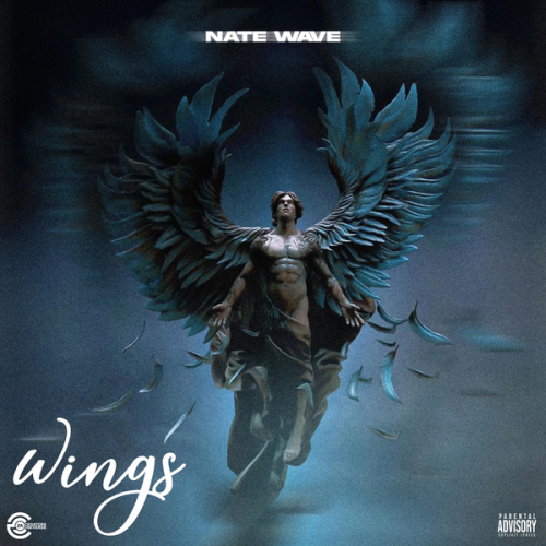 Natewave – Wings Latest Songs