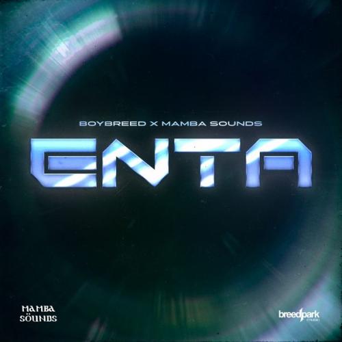 Cover art of Boybreed – ENTA ft Mamba Sounds