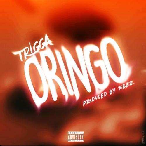 Cover art of TRIGGA – Oringo