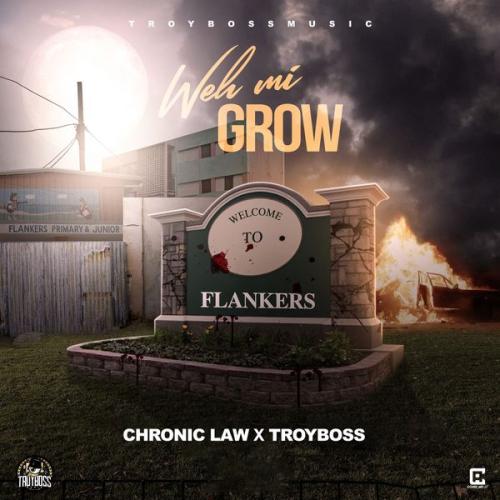 Cover art of Chronic Law – Weh Mi Grow ft Troyboss