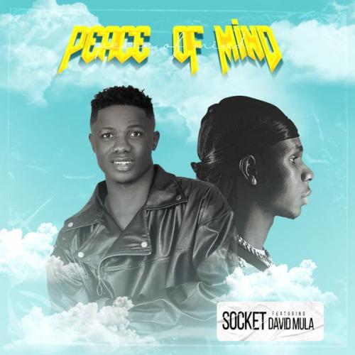 Cover art of SOCKET – Peace Of Mind ft David Mula