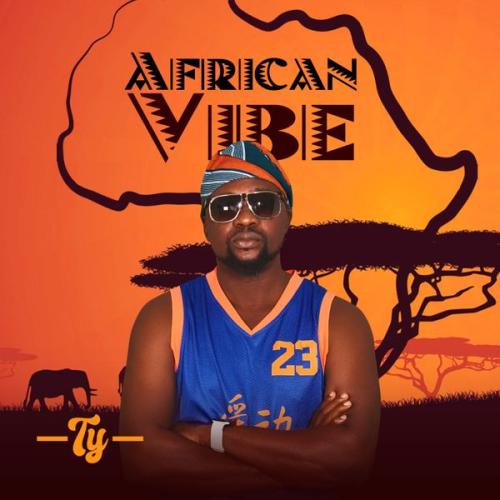 Cover art of Ty – AFRICAN VIBE