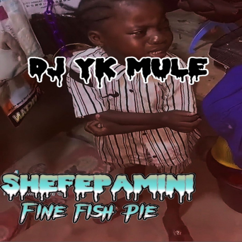 Cover art of Dj Yk Mule – Shefepamini Fine Fish Pie