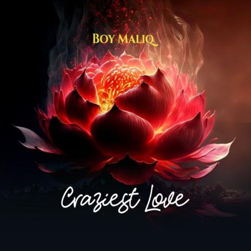 Cover art of Boy Maliq – Craziest Love