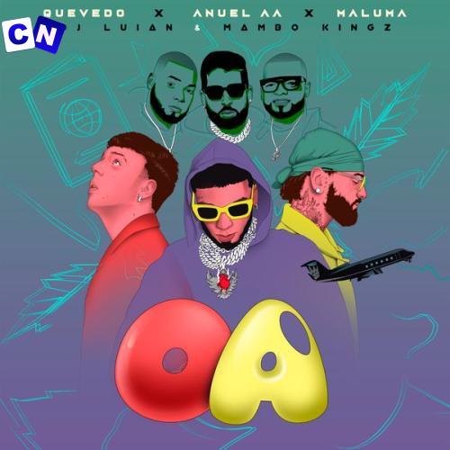 Cover art of Anuel AA – OA Ft Quevedo, Maluma, Mambo Kingz & DJ Luian