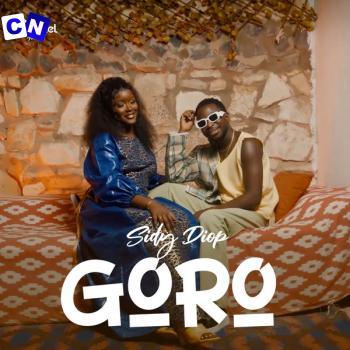 Cover art of Sidy Diop – Goro