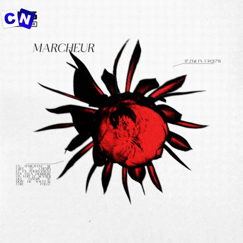 Cover art of Wiguez – Marcheur