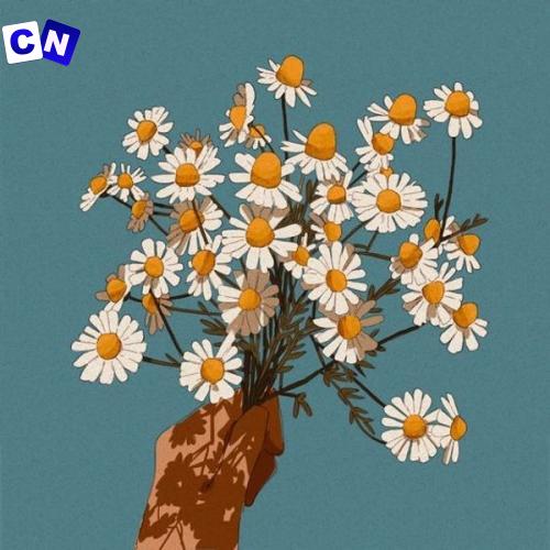 Ruth B. – Dandelions {slowed & reverb} Latest Songs