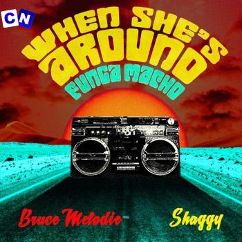 Cover art of Bruce Melodie – When She’s Around (Funga Macho) ft Shaggy