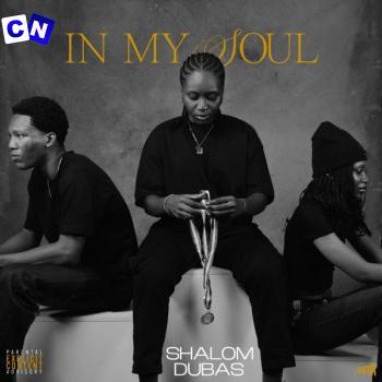Cover art of Shalom Dubas – In My Soul