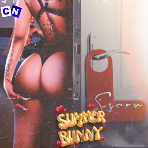 Cover art of Ssaru – Summer Bunny
