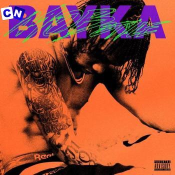 Cover art of Bayka – MOB STYLE