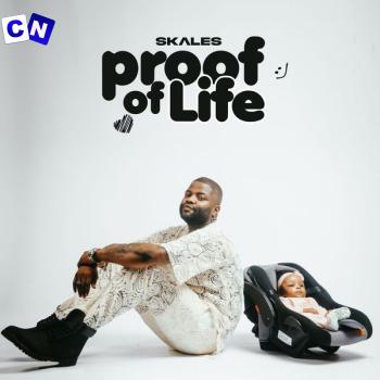 Cover art of Skales – Proof of Life (Album)