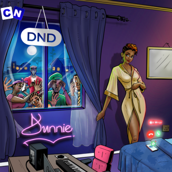Cover art of Dunnie – DND