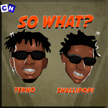 Cover art of N.M.I.A – So What? ft. Tekno & Shallipopi