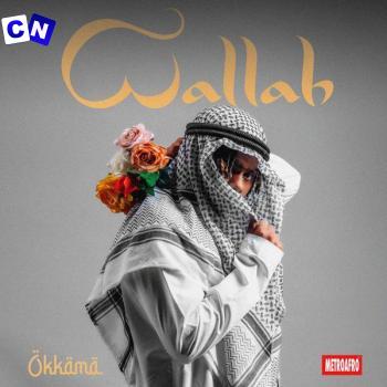 Cover art of Okkama – Wallah