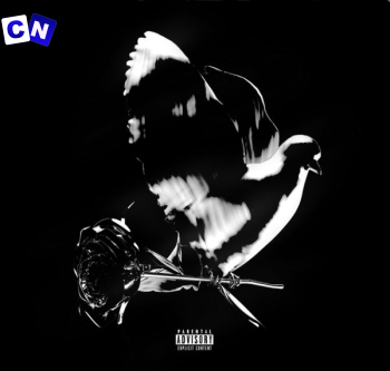 Pop Smoke – Mood Swings Ft. Lil Tjay Latest Songs