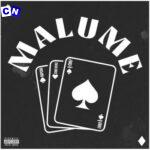 Q Chief – MALUME ft Rapcha & Chidi Benz