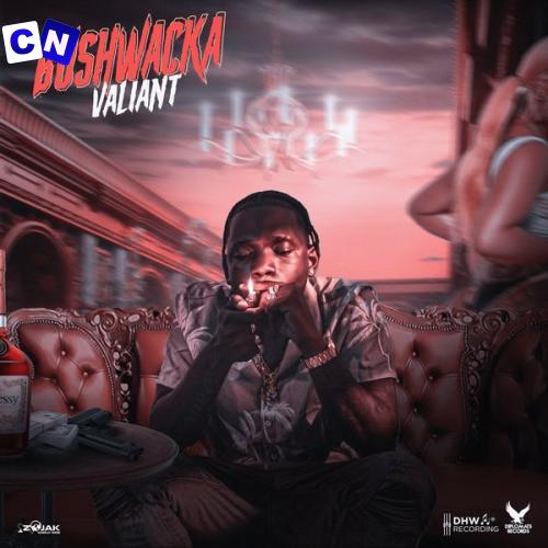 Cover art of Valiant – Bushwacka Ft DHW