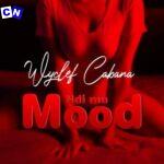 WYCLEF CABANA – NDI MU MOOD