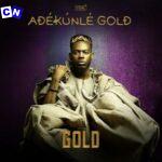 Adekunle Gold – Sade (Bonus)