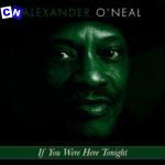 Alexander O'Neal – If You Were Here Tonight (Instrumental)