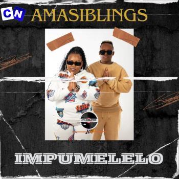 Cover art of AmaSiblings – Impumelelo