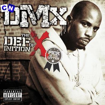 Cover art of DMX – What These Bitches Want ft Sisqo
