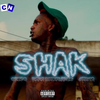 Cover art of Skeng – Shak