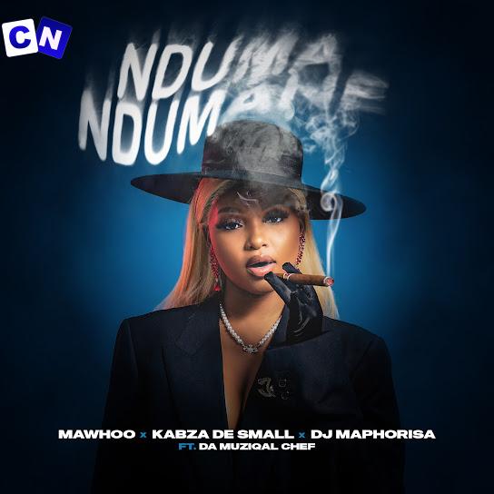 DJ Maphorisa – Nduma Ndumane ft Kabza De Small, Mawhoo & Da Muziqal Chef Latest Songs