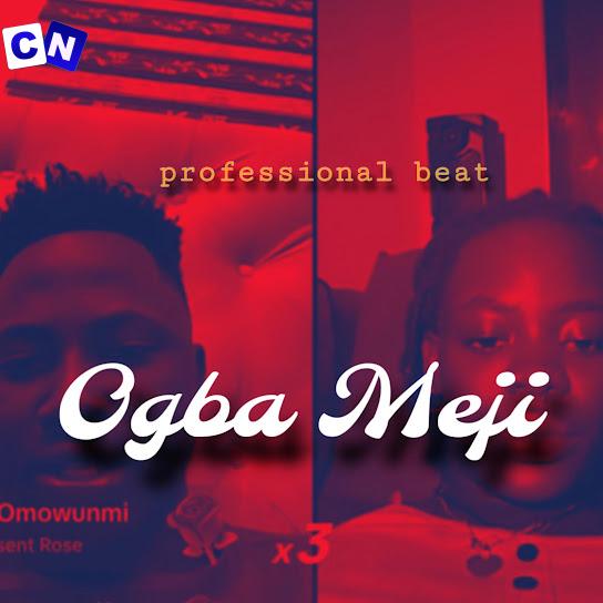 Cover art of Professional Beat – Ogba meji