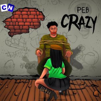 Cover art of PEB – Crazy