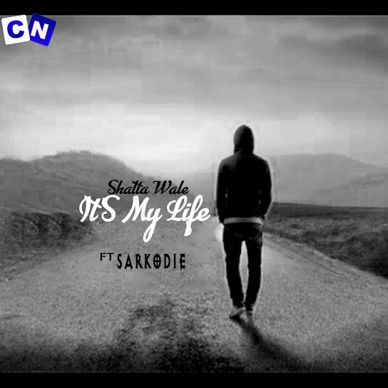 Cover art of Shatta Wale – It’s My Life Ft. Sarkodie