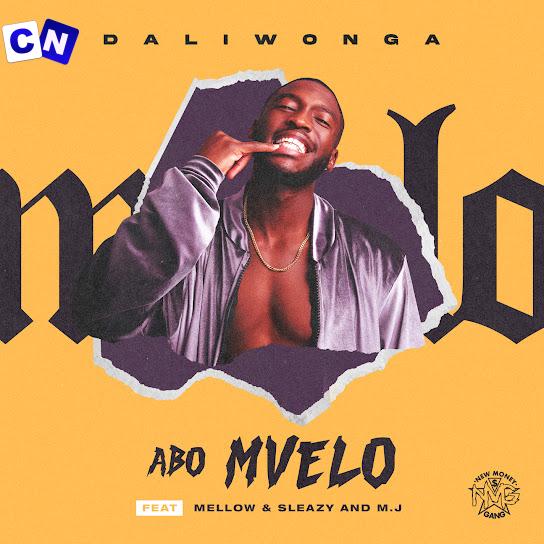 Daliwonga – Abo Mvelo Ft. Mellow, Sleazy & M.J Latest Songs