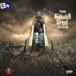 Portable - Anikuleti Street Don Jazzy (Full Album)