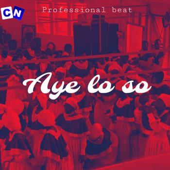 Cover art of Professional Beat – Aye lo so (mara)