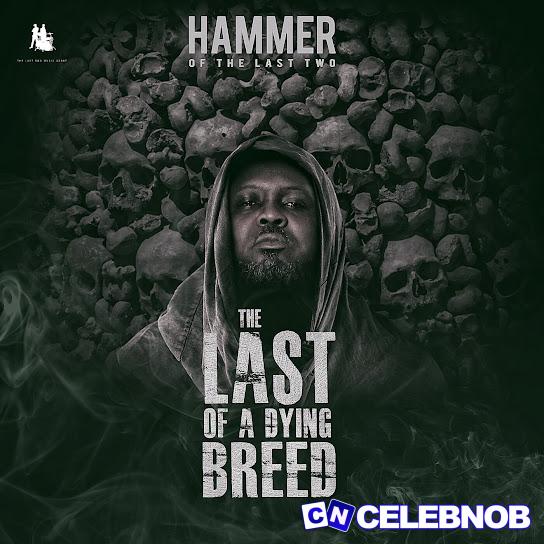 Cover art of Hammer of The Last Two – Sarkastic ft. Sarkodie & Worlasi