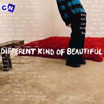 Cover art of Alec Benjamin – Different Kind Of Beautiful (New Song)