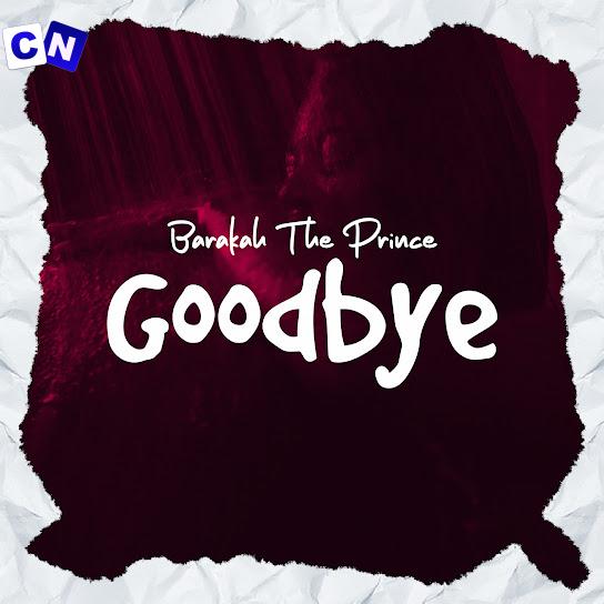 Cover art of Barakah The Prince – Good Bye