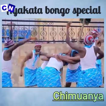 Cover art of Chimuanya – Ayakata Bongo Special