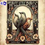 Clay – Three Little Birds ft. Kelsy & Elder Sister