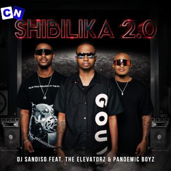 Cover art of DJ Sandiso – Shibilika 2.0 ft Pandemic boyz & The Elevatorz