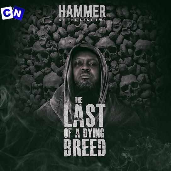 Cover art of Hammer of The Last Two – Sarkastic Ft Sarkodie & Worlasi