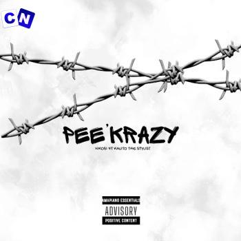 Cover art of PEE’KRAZY – NKOSI Ft Kalito The Stylist