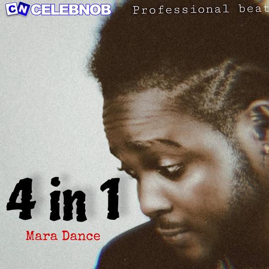 Cover art of Professional Beat – 4 in 1 mara dance