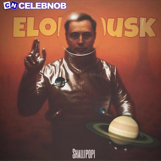Cover art of Shallipopi – Elon Musk