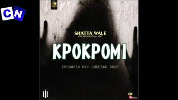Cover art of Shatta Wale – Kpokpomi