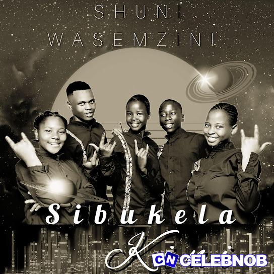 Cover art of Shuni waseMzini – Sibukela kini